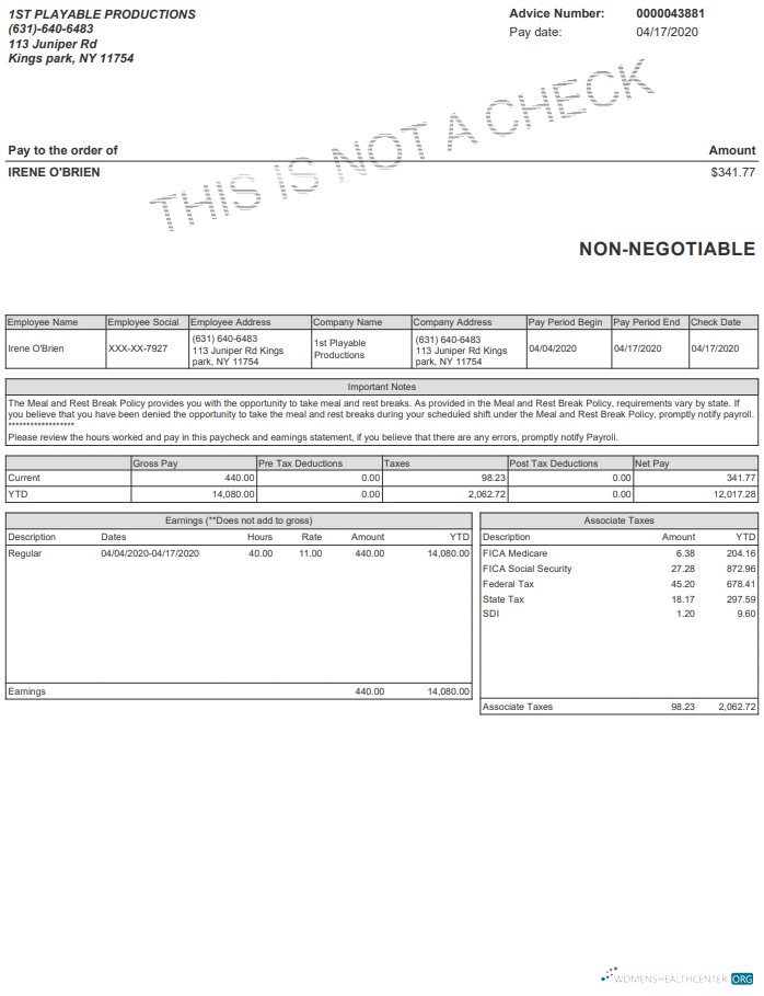 Download Playable Productions Paystub Photoshop template